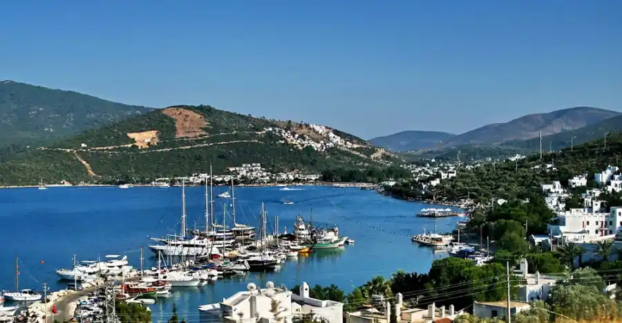 Torba Rent A Car